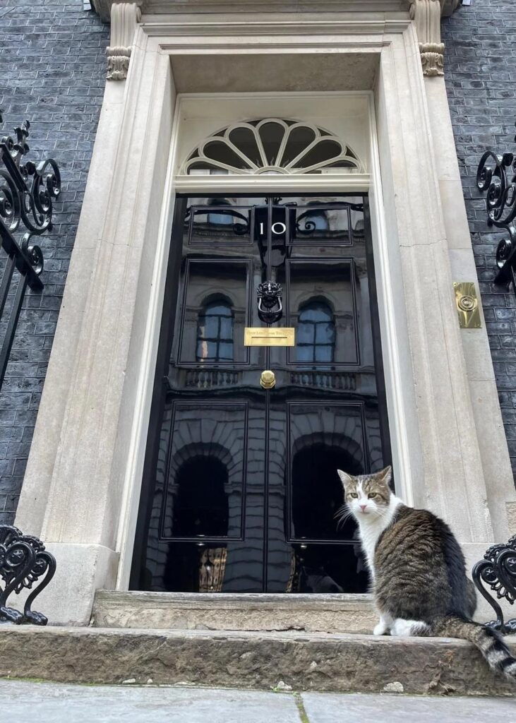 Larry the Cat has seen 6 UK Prime Ministers ever since being appointed "Chief Mouser to the Cabinet Office" in 2011