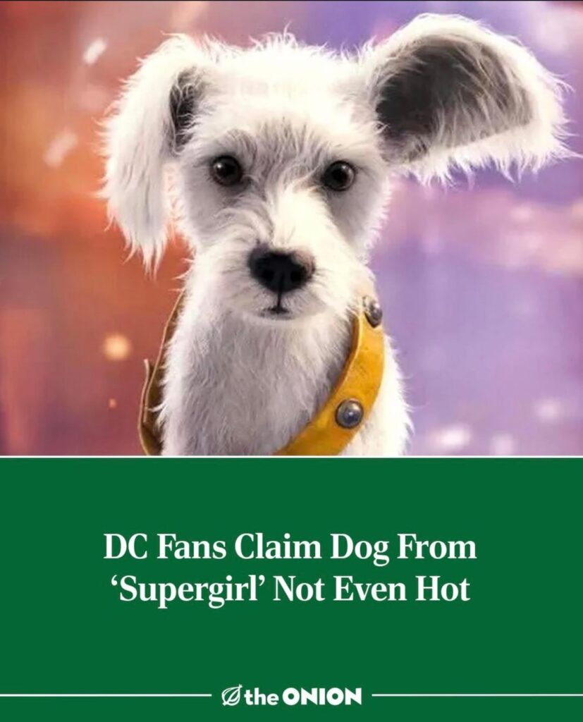 The Onion: DC Fans Claim Dog From “Supergirl’ Not Even Hot