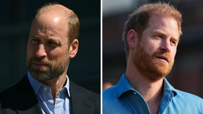 Will Prince Harry & William Reunite During UK Visit?