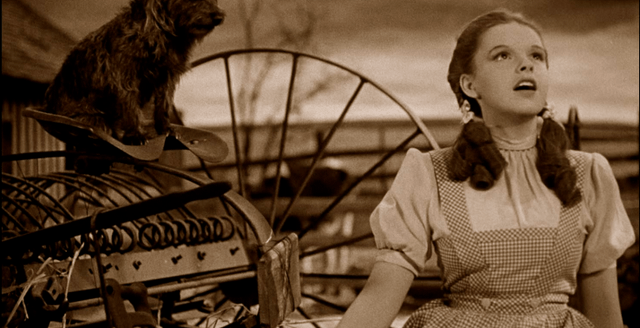On the last day of pride month, some classic Hollywood films with some very LGBT themes