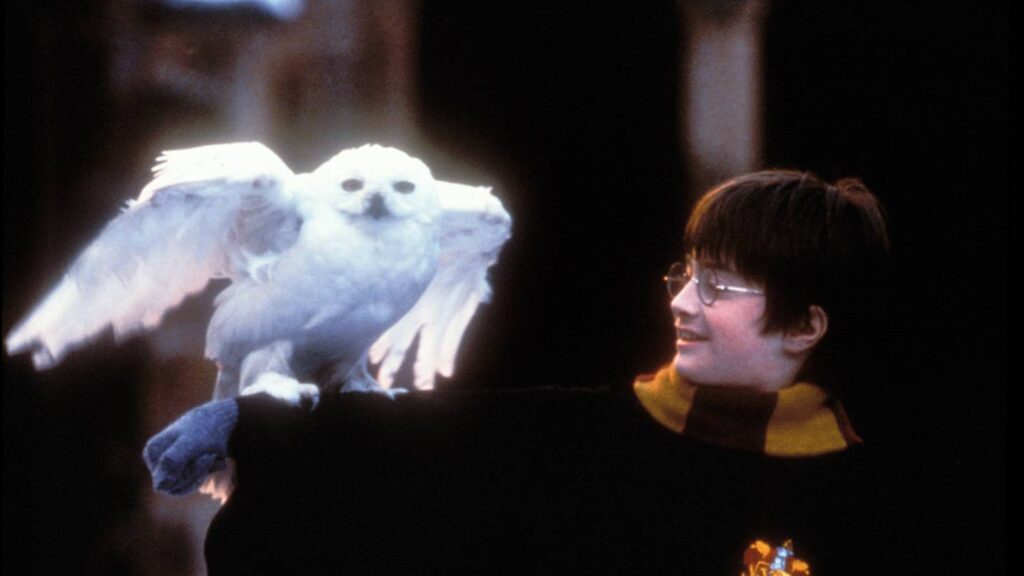 Quiz: Which ‘Harry Potter’ House Are You? Harry Potter books