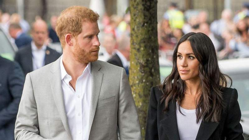 Private security reports have warned of elevated threat levels for the Sussex family.MEGA