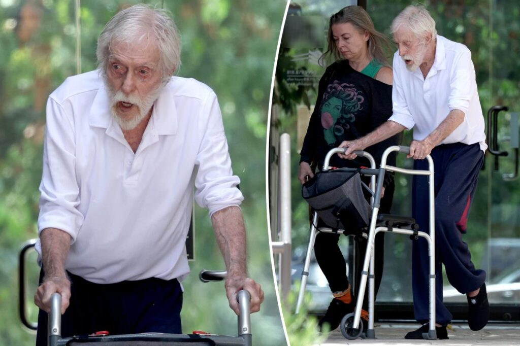 Dick Van Dyke, 100, uses walker during rare outing with wife Arlene, 54 Dick Van Dyke, 100, uses walker during rare outing with wife Arlene, 54