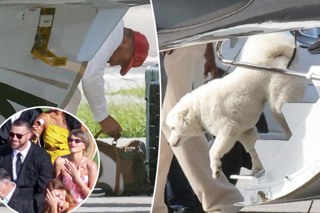 Taylor Swift and Travis Kelce’s mystery dog makes big debut while touching down in Florida Taylor Swift and Travis Kelce's mystery dog makes big debut while touching down in Florida