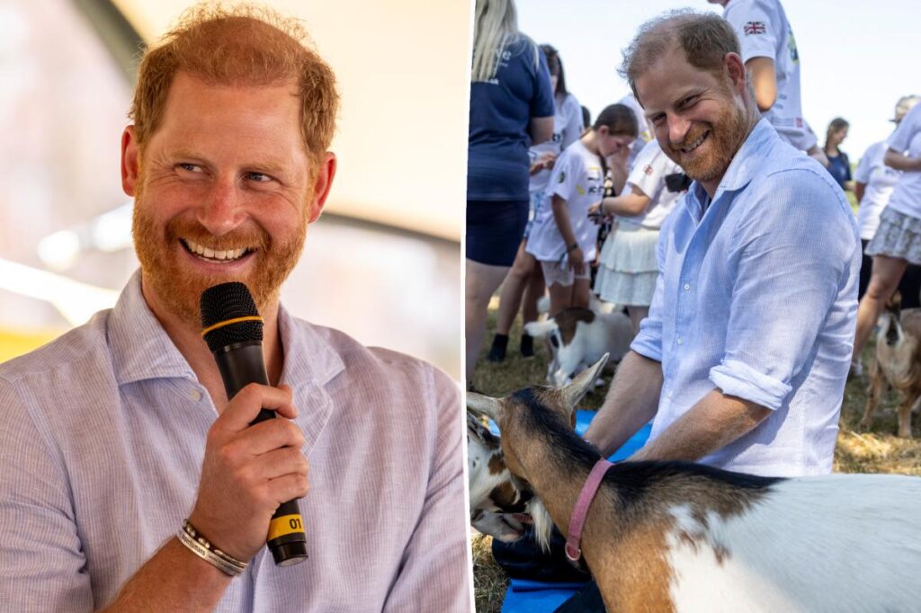 Prince Harry reveals his multiple occupations in candid new interview
