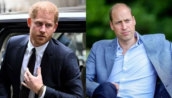Prince William and Prince Harry‘s relationship is at its lowest, says an expert