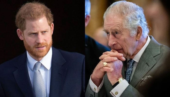 Prince Harry branded ‘spoilt celebrity’ as he tests King Charles
