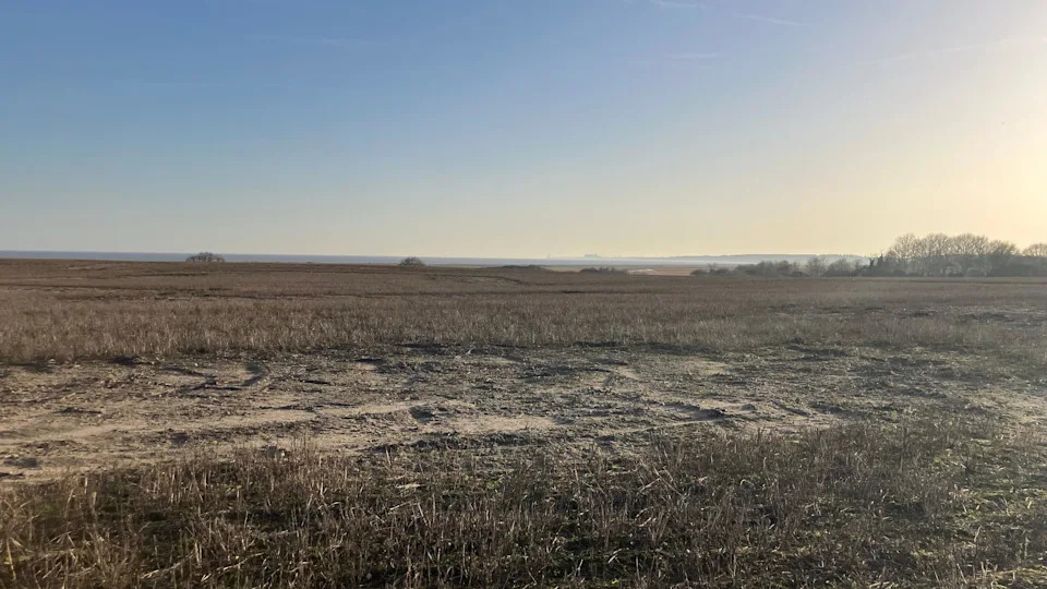 A view over an agricultural field during sunset. The sea is in the distance.
