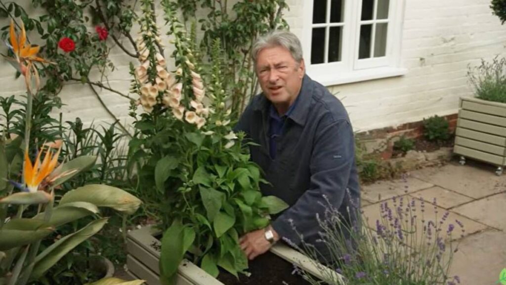 Alan Titchmarsh adds plant to patio that will ‘flower its socks off’ all summer Liverpool Echo