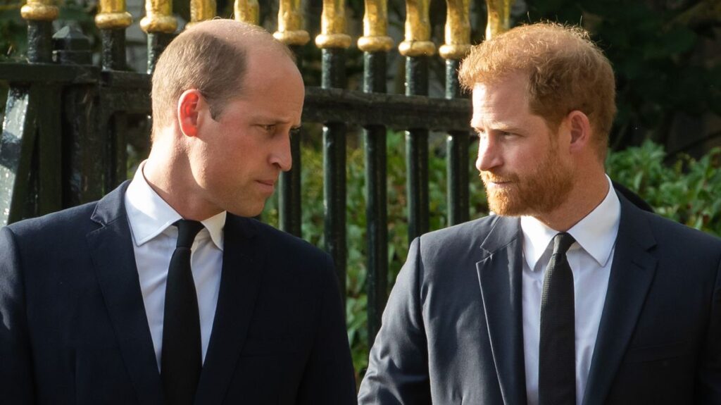 Prince William ‘can’t avoid’ Prince Harry’s UK visit despite ‘putting brother out of his mind’ Daily Mirror