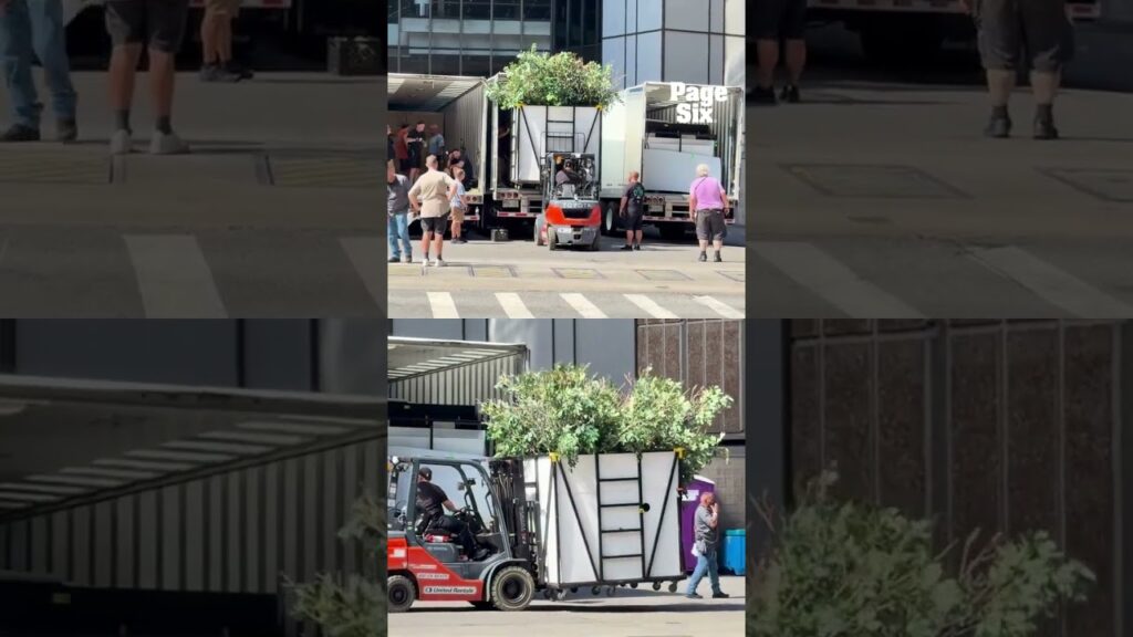 Trees were seen being removed from MSG following Taylor Swift and Travis Kelce's wedding 🌳🌳🌳 #shorts