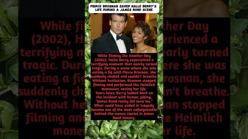 Pierce Brosnan Saved Halle Berry’s Life During a James Bond Scene Pierce Brosnan Saved Halle Berry's Life During a James Bond Scene