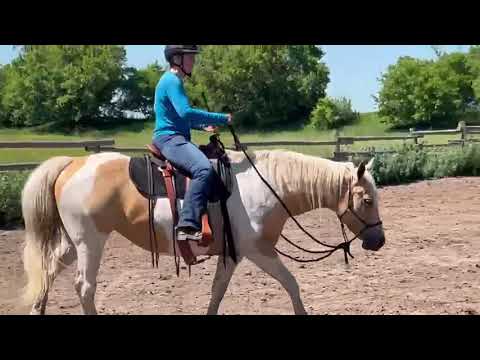 Kate and Honey level 2 Parelli Freestyle