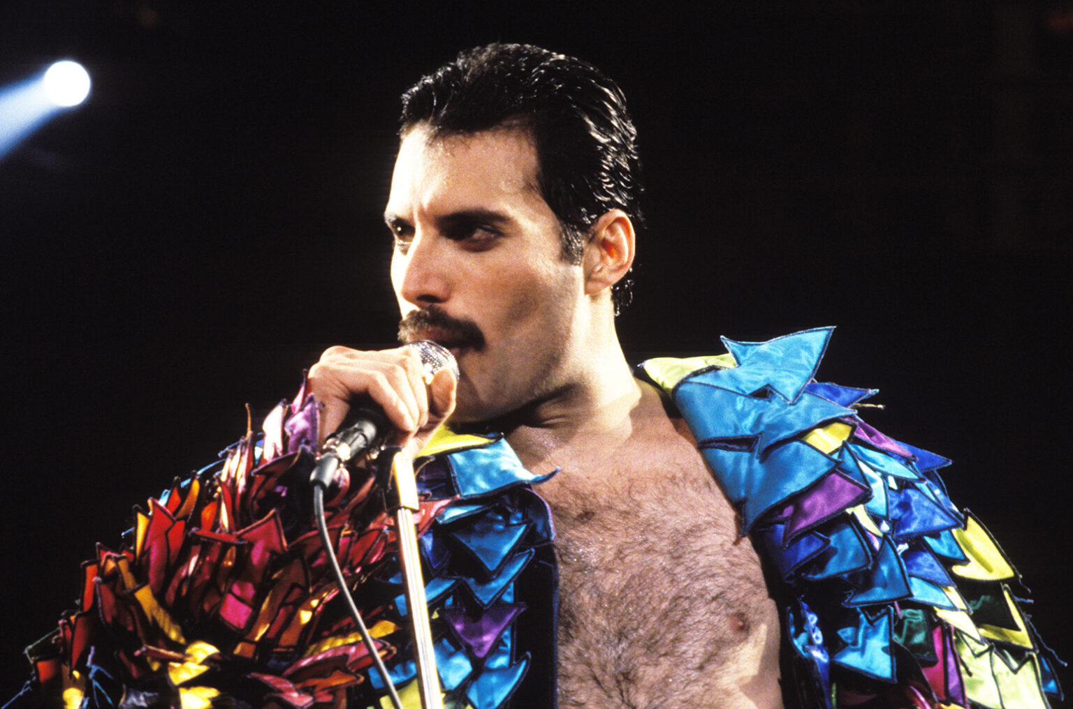 16 celebrities who changed their names before fame Freddie Mercury. (Steve Jennings/WireImage)