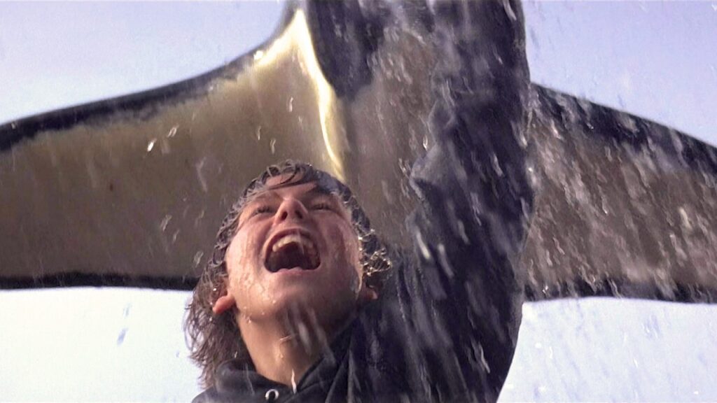 Free Willy REBOOT! What We Know About the New Movie Free Willy REBOOT! What We Know About the New Movie