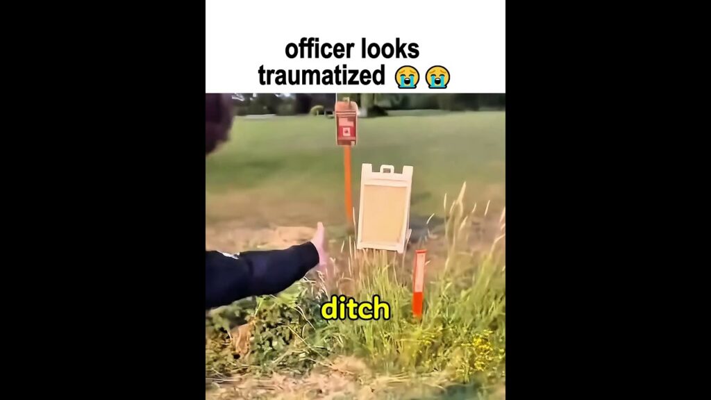 Lol Lol