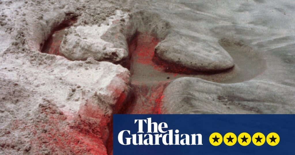Ana Mendieta review – were she still alive she’d be at the forefront of art in this century | Art and design Ana Mendieta review – were she still alive she’d be at the forefront of art in this century | Art and design