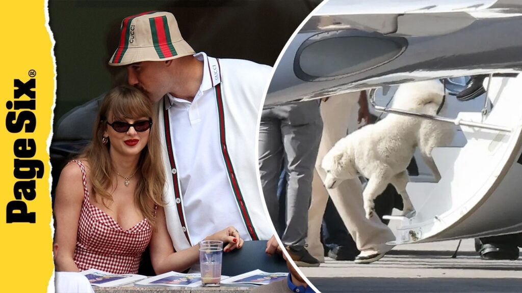 Taylor Swift & Travis Kelce’s mystery dog makes debut while touching down in Florida | P6 Headlines Taylor Swift & Travis Kelce’s mystery dog makes debut while touching down in Florida | P6 Headlines