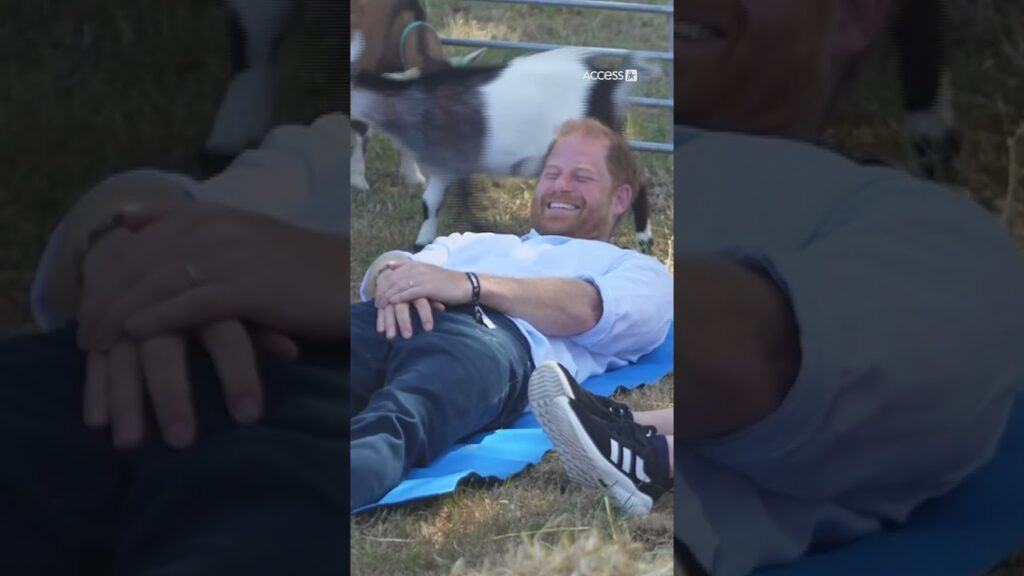 Prince Harry Gets Run Over By Goat