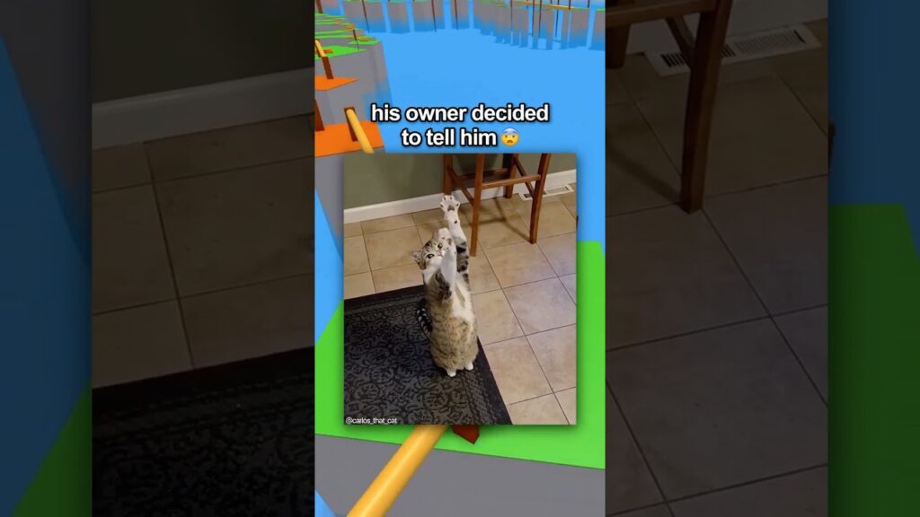 The Internet Broke This Poor CAT 😭🙏 #shorts #roblox #robloxrant #rblx #relatable