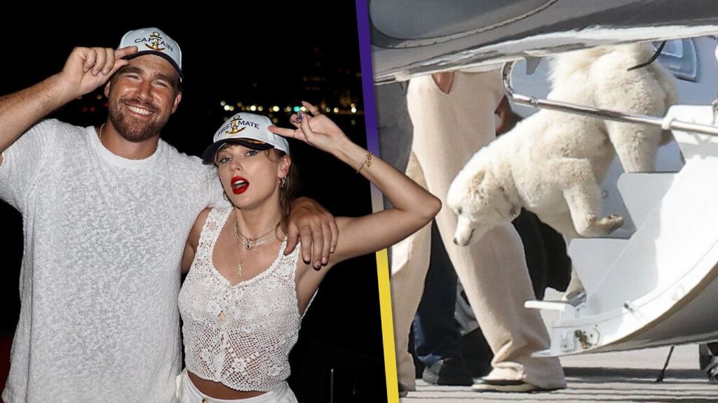 Taylor Swift and Travis Kelce’s Secret PUPPY Revealed?! Taylor Swift and Travis Kelce's Secret PUPPY Revealed?!