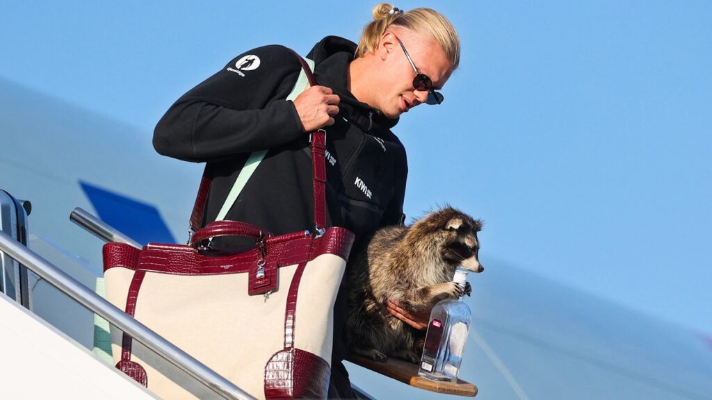World Cup: Norway’s Erling Haaland Shows Off BIZARRE $750 Souvenir World Cup: Norway's Erling Haaland Shows Off BIZARRE $750 Souvenir