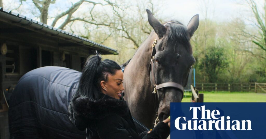 TV tonight: an eye-popping account of Katie Price in the Playboy mansion | Television