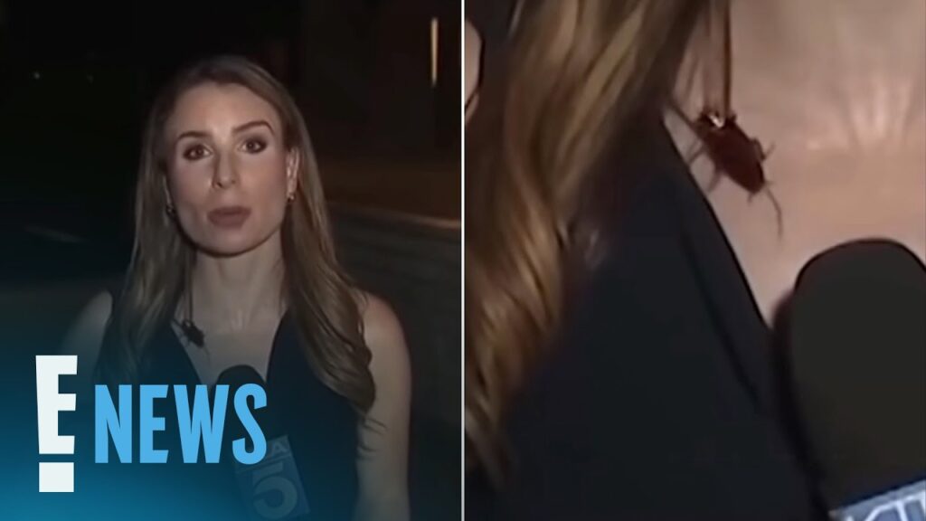 Cockroach CRAWLS on Reporter on Live TV—and Her Reaction Is Shocking | E! News Cockroach CRAWLS on Reporter on Live TV—and Her Reaction Is Shocking | E! News