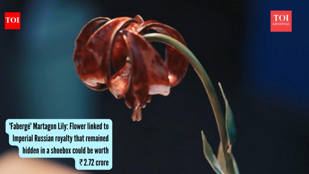 ‘Fabergé’ Martagon Lily: Flower linked to Imperial Russian royalty, which remained hidden in a shoebox, could be worth ₹2.72 crore 'Fabergé' Martagon Lily: Flower linked to Imperial Russian royalty, which remained hidden in a shoebox, could be worth ₹2.72 crore