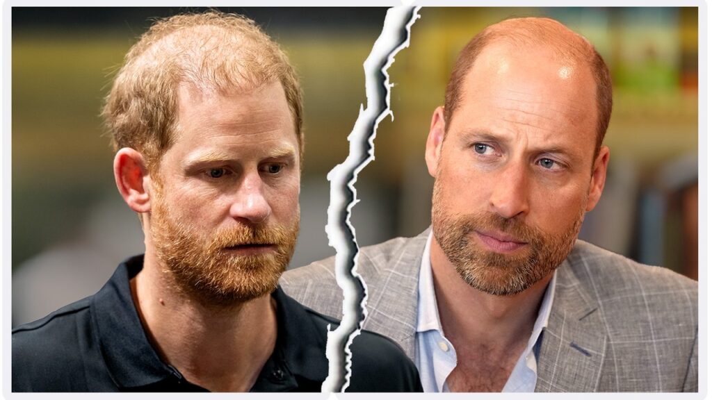 Prince William ‘Can Hold a Grudge’ and Likely Will Never Reconcile With Harry (Royal Expert) Prince William 'Can Hold a Grudge' and Likely Will Never Reconcile With Harry (Royal Expert)