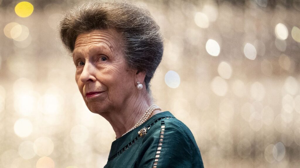 Princess Anne just had the most unexpected K-pop moment in Seoul Princess Anne just had the most unexpected K-pop moment in Seoul