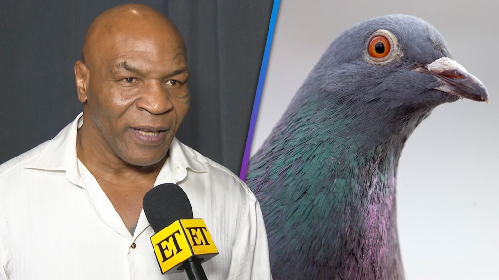 Mike Tyson Shares Story Behind $2M PIGEON as He Reflects on His Legacy (Exclusive) Mike Tyson Shares Story Behind $2M PIGEON as He Reflects on His Legacy (Exclusive)