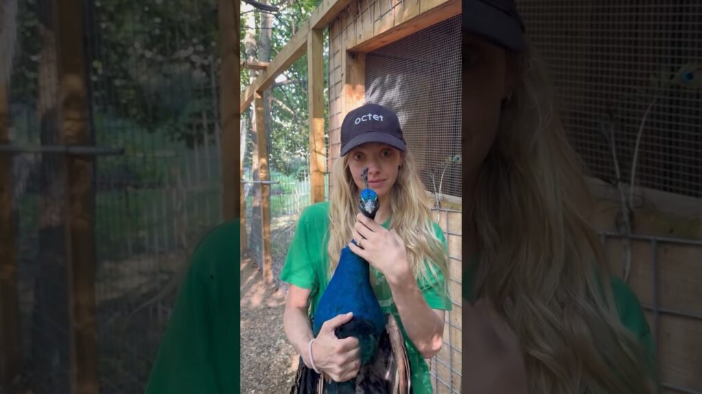 Amanda Seyfried playing with her peacock Kevin