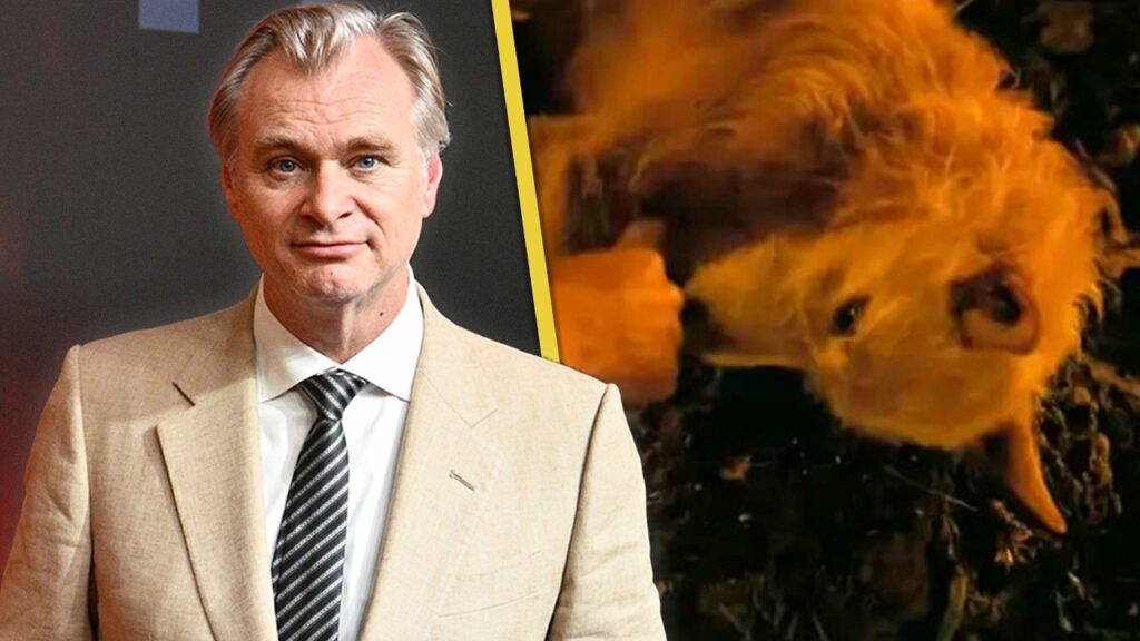 The Odyssey: How Argos (the Dog!) Was Christopher Nolan's Inspo for Box Office-Breaking Epic