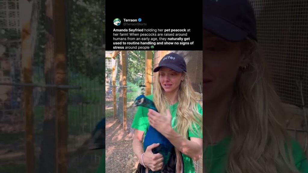 Amanda Seyfried's Pet Peacock 🦚