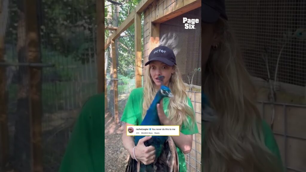 Amanda Seyfried couldn't stop giggling while hanging out with her pet peacock, Kevin. 🦚😂 #shorts
