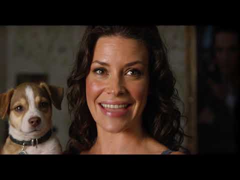 Evangeline Lilly 3