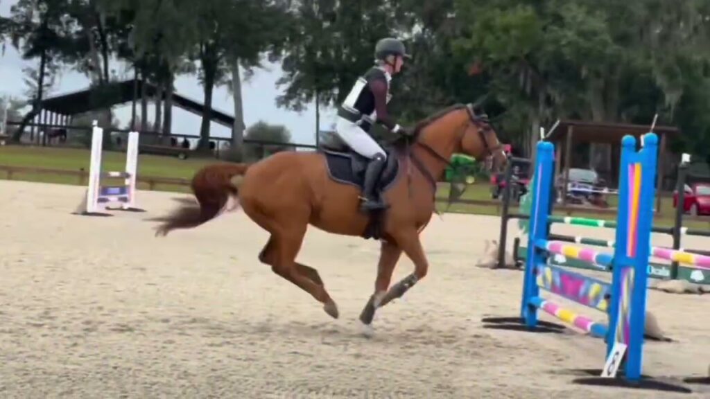 Galway lad video xc flat sj