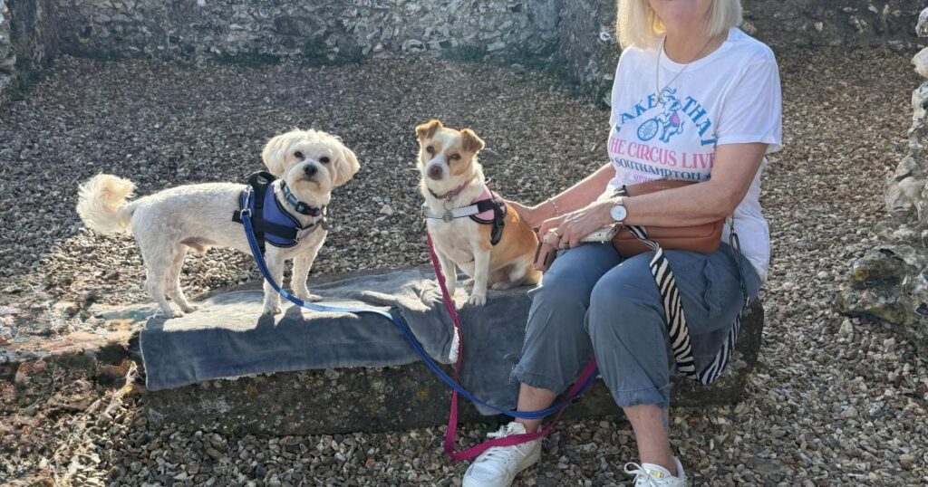 Ben Stiller surprises dog walkers on Highcliffe Beach
