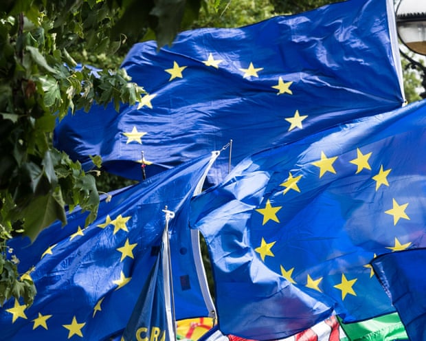 EU flags