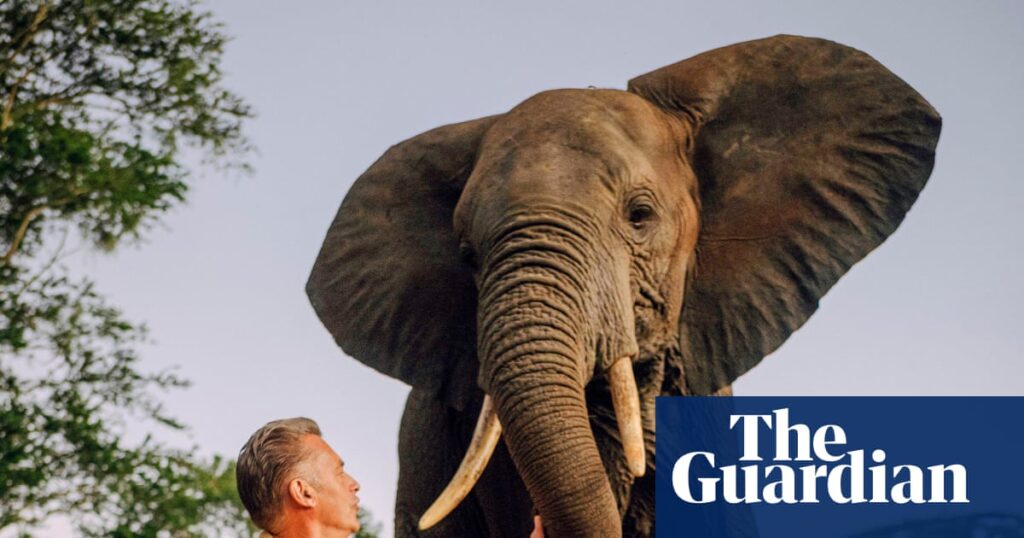 TV tonight: Chris Packham’s wondrous series about evolution | Television TV tonight: Chris Packham’s wondrous series about evolution | Television