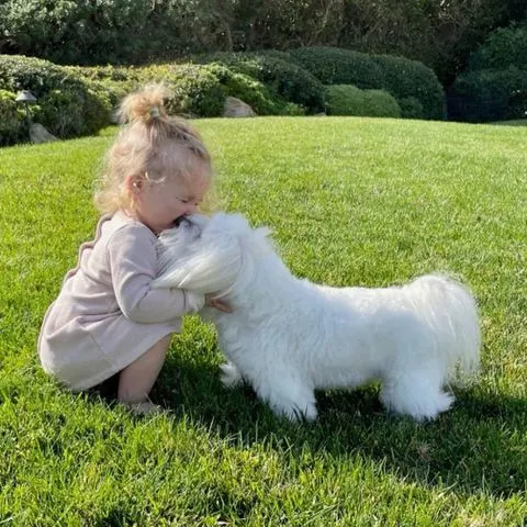 Credit: Barbra Streisand/ Instagram