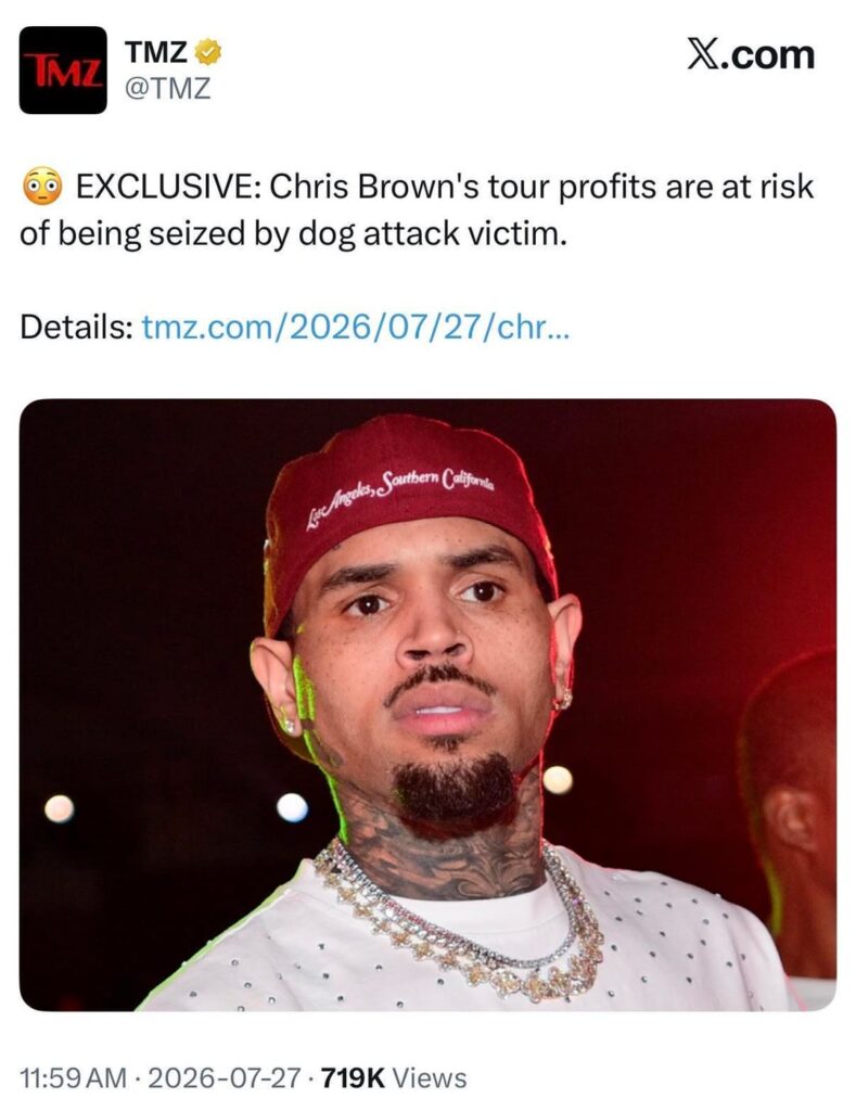 Chris Brown's tour profits are at risk of being seized by dog attack victim🙂‍↕️