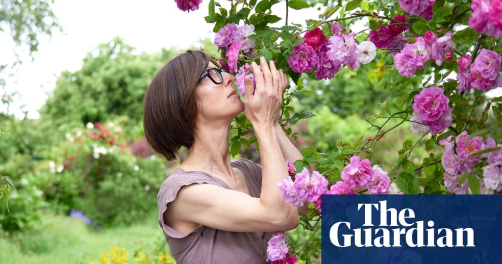 Absolutely sensational! My week savouring life’s little pleasures – from drilling holes to licking trees | Mindfulness Absolutely sensational! My week savouring life’s little pleasures – from drilling holes to licking trees | Mindfulness