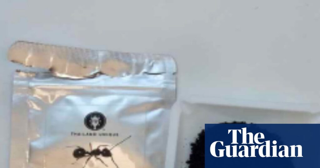 Michelin-starred restaurant owner in South Korea faces jail over ant dessert | South Korea