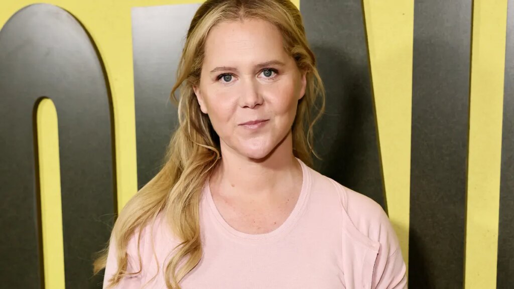 Amy Schumer soaks up Fourth of July in a deep-V swimsuit Amy Schumer soaks up Fourth of July in a deep-V swimsuit