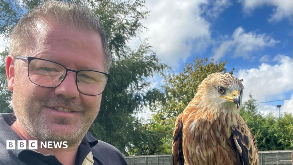 Heat forces Lincolnshire bird of prey centre to cancel shows Swingers