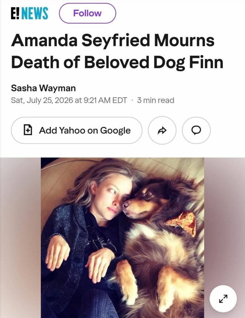 Amanda Seyfried's beloved dog Finn has died