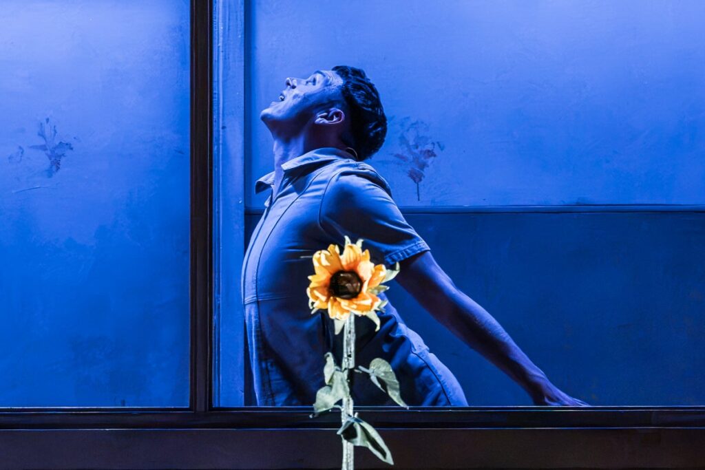 Audience member faints on opening night of London play during graphic scene Audience member faints on opening night of London play during graphic scene