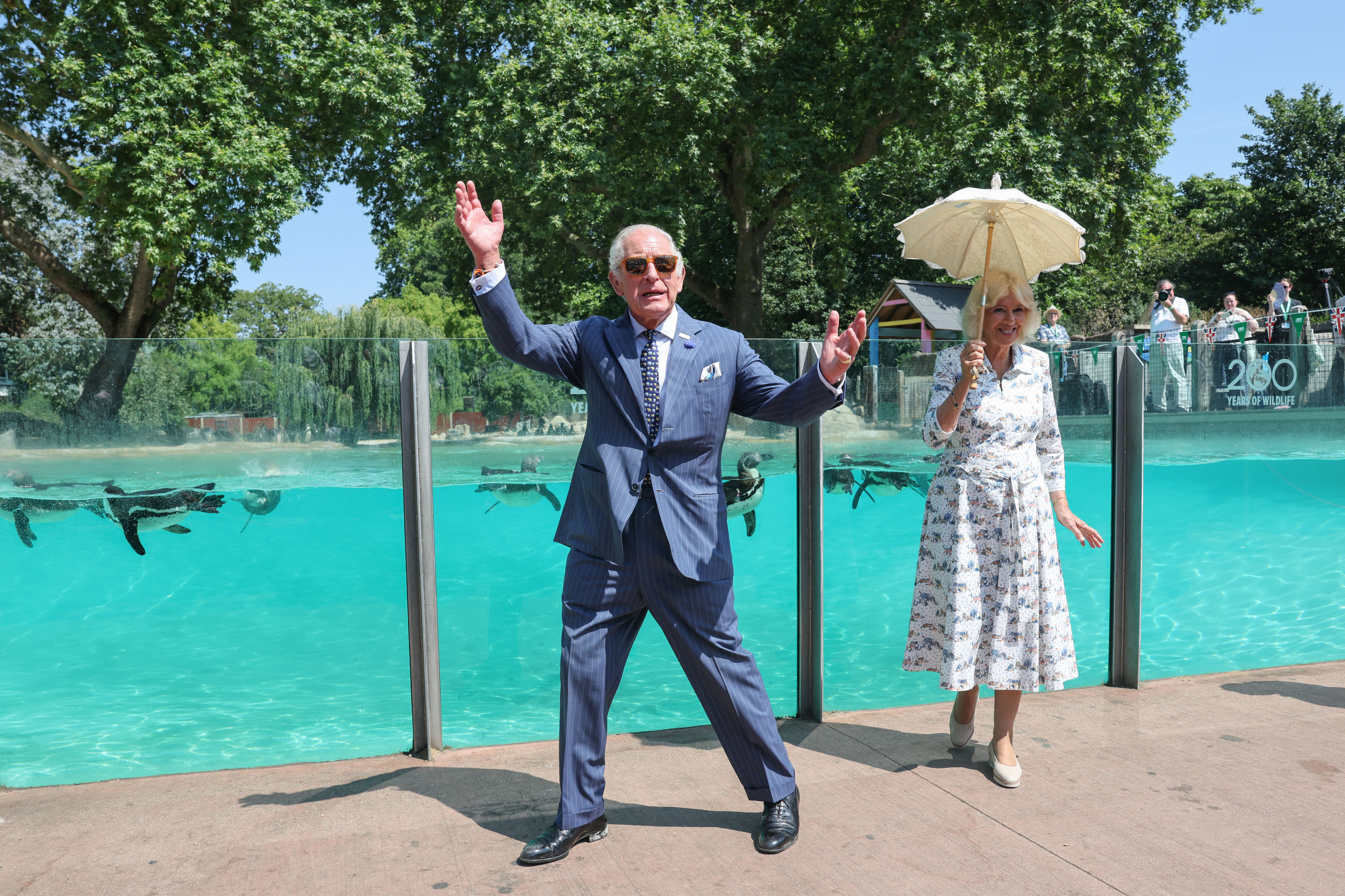 Queen Camilla holding an umbrella and King Charles waving his arms in front of a penguin enclosure at the London Zoo
